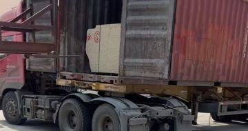 惠州 黄金麻荔枝面毛板