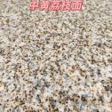 惠州黄金麻中黄荔枝面