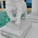 惠州 白麻花岗岩动物异形石雕-大象