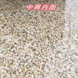 惠州黄金麻中黄光面