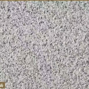 惠州白麻荔枝面