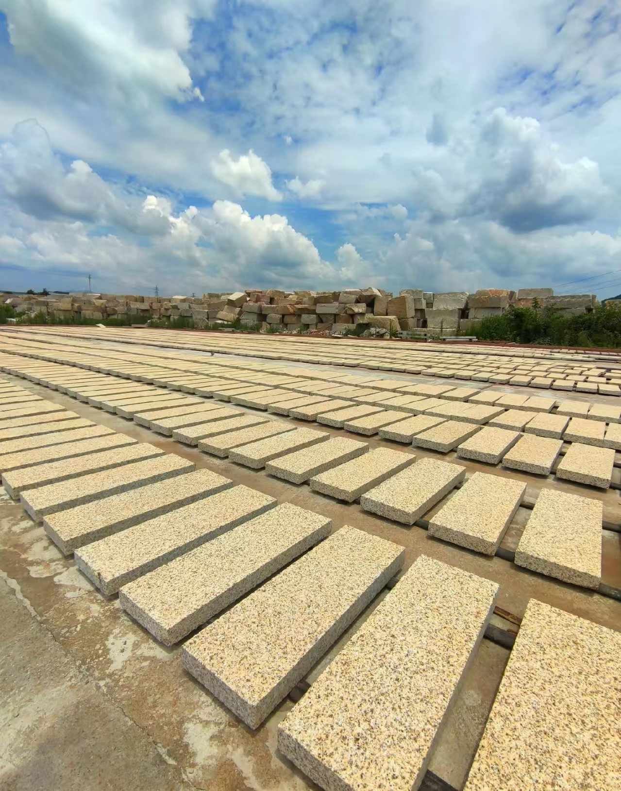 惠州 黄金麻荔枝面花岗岩石材地铺石防护中