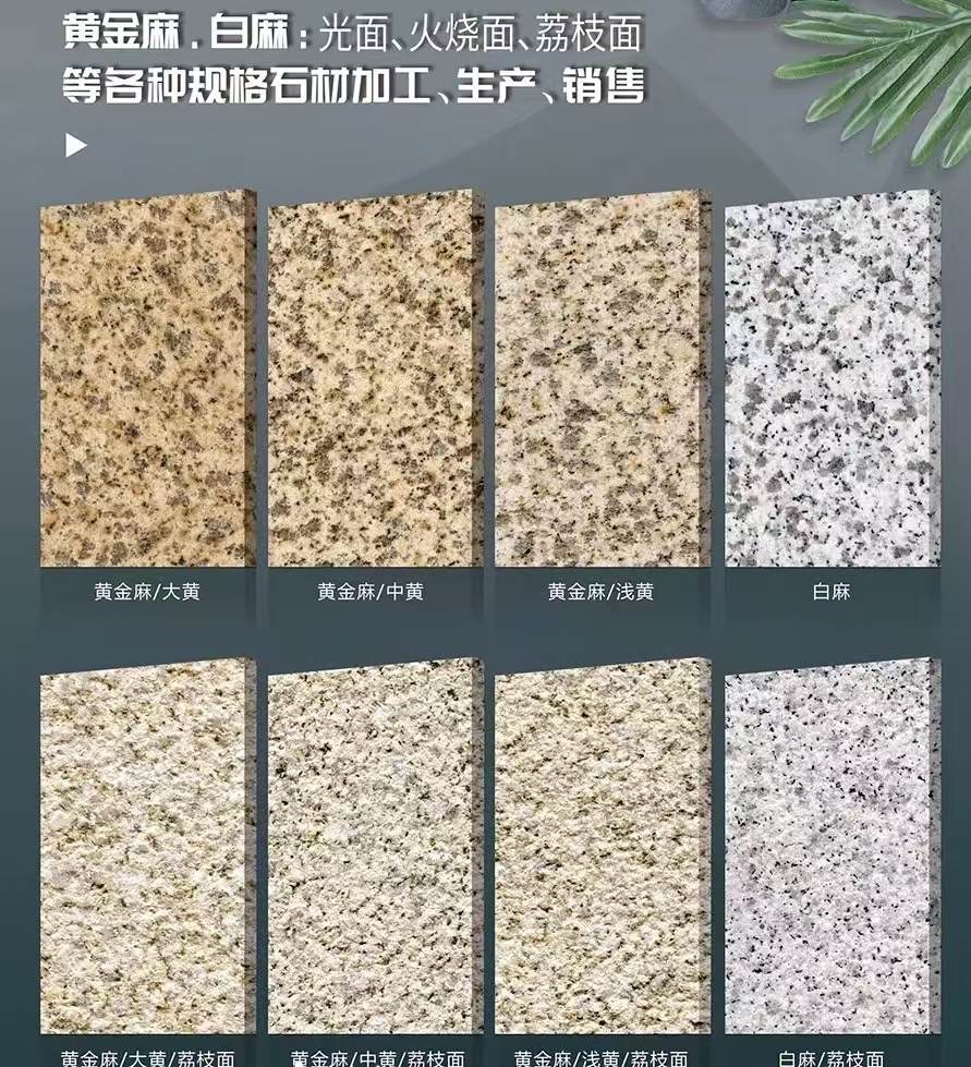 惠州 黄金麻白麻样品展示