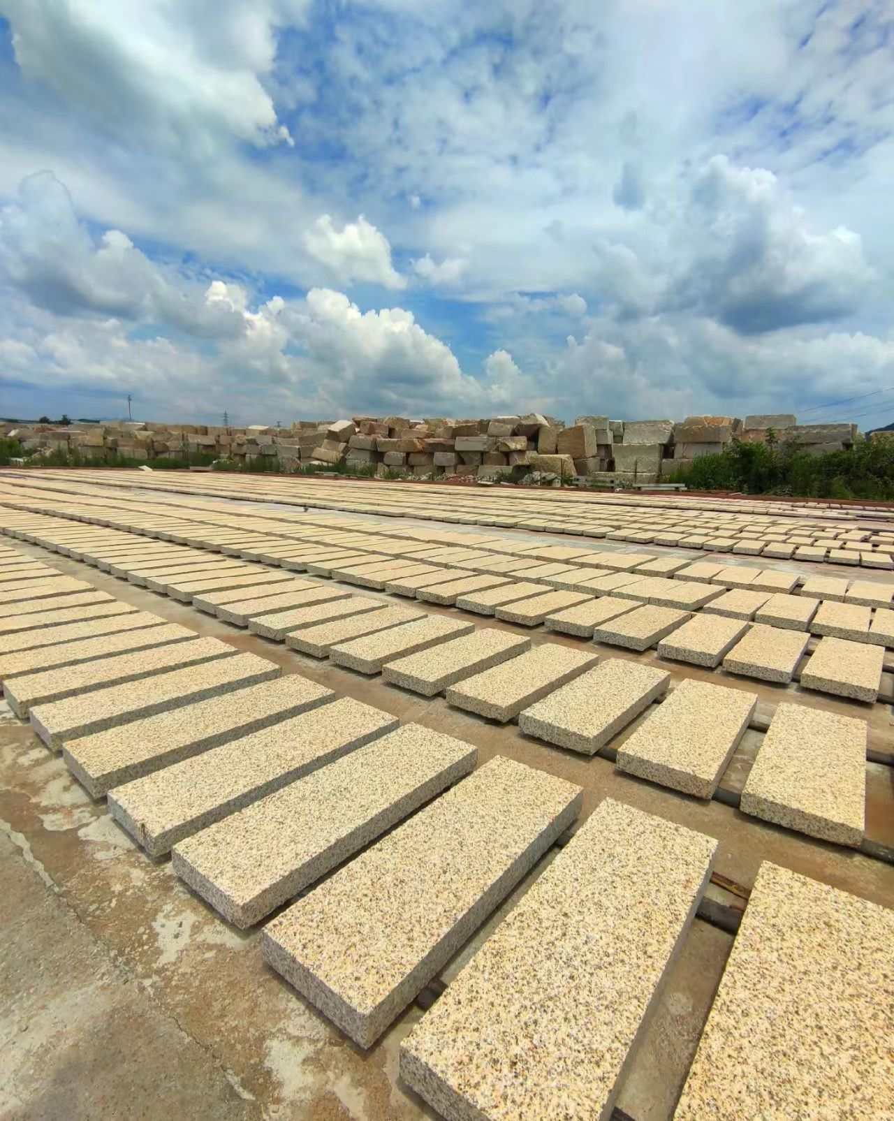 惠州 黄金麻花岗岩荔枝面地铺石防护中