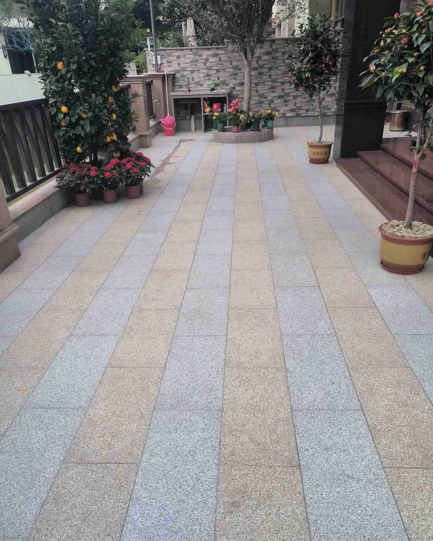 惠州 黄金麻白麻荔枝面庭院铺装展示